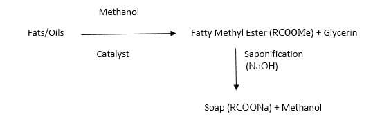 Fatty Methyl Ester Process