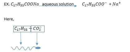 Hyphobic Head & Hydrophilic Tail