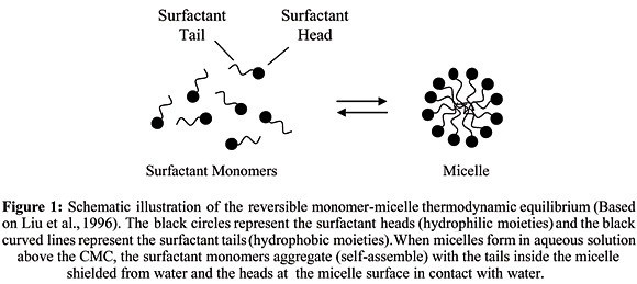 Surfactant monomer & micelle