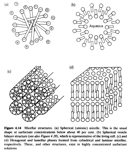 micelle structure