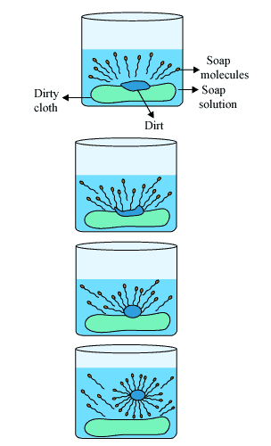 removal of hydrophobic dirt (detergency)