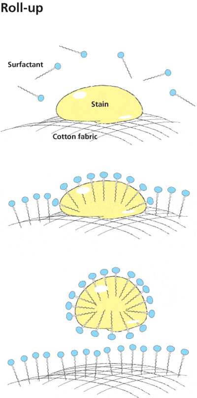 roll up mechanism (detergency)