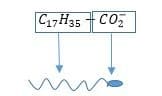 stearate ion