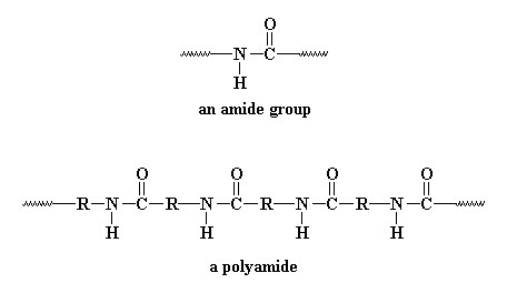 amide group & polyamide