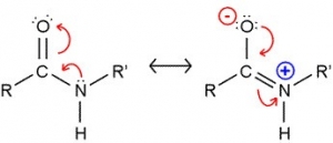 What is Nylon - Properties of Nylon and Its Uses