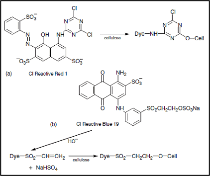 Fixation Mechanism of Reactive Dyes