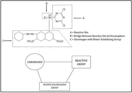 Structure of Reactive Dye
