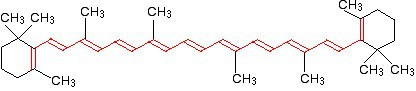 Beta Carotene