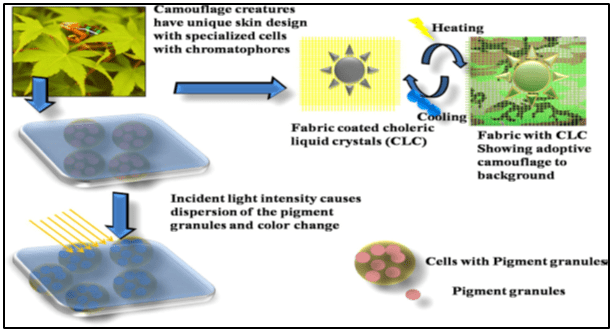 Animated Sketch of Chameleon Skin Derived Material Design Approach for Camouflage Apparel Military Defense