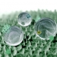 Featured Image for Biomimetics