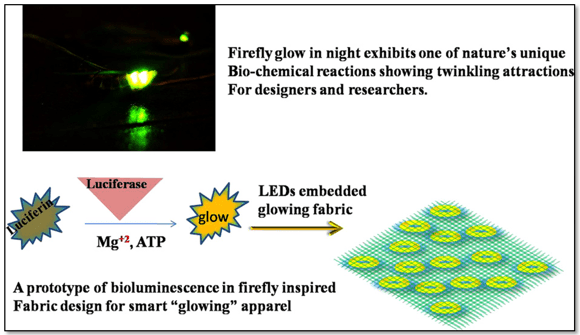 Learning from Firefly Glow Designing E Circuited Luminescence in Fabrics.