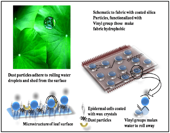 Micro-Topography with Specialized Wax Coated Epidermal Cells (Left) and Conventional Design Mimicking the Anti-Lotus Effect into Smart Fabric Design