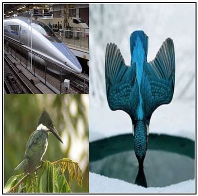Mimicking the beak of kingfisher to design a quieter train