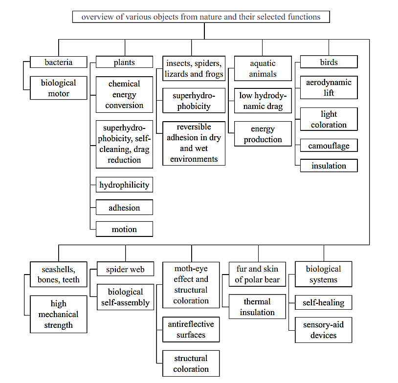 Overview of Various Objects from Nature Their Selected Functions