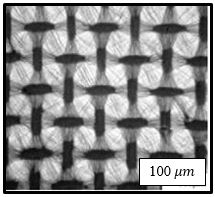 SEM Image of Lotus Leaves