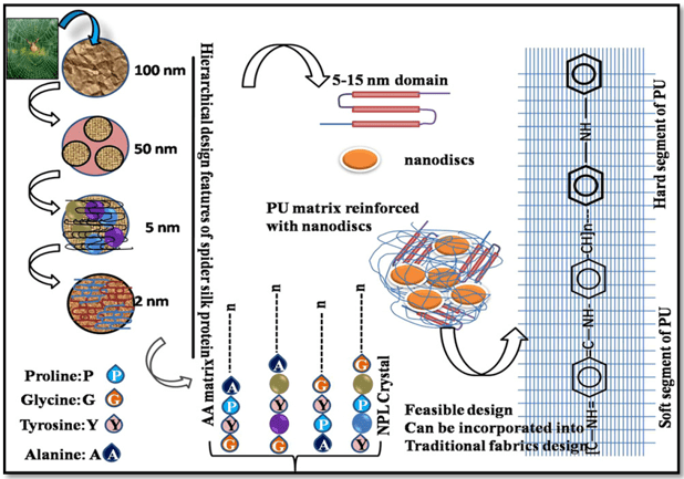 Schematic Showing Spider Silk Inspired Anti Tear Fabric Design 1