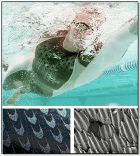 Shark Skin Feature Inspired Low Hydrodynamic Surface Drag High Efficiency Swimsuits Design with Antibacterial Effect