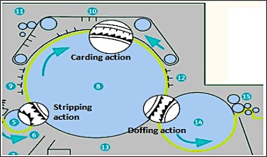 Different Actions in Carding