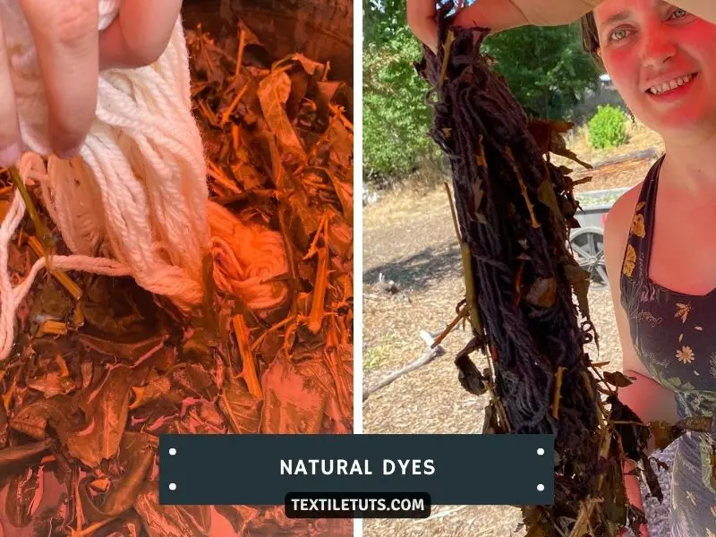 Natural Dyes for Dyeing Rayon