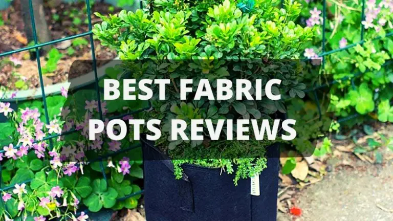 7 Best Fabric Pots with Buying Guide