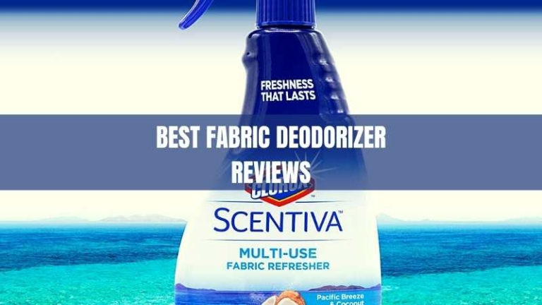 10 Best Fabric Deodorizer with Buying Guide