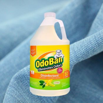 Citrus Scent OdoBan Concentrate (4-Pack)