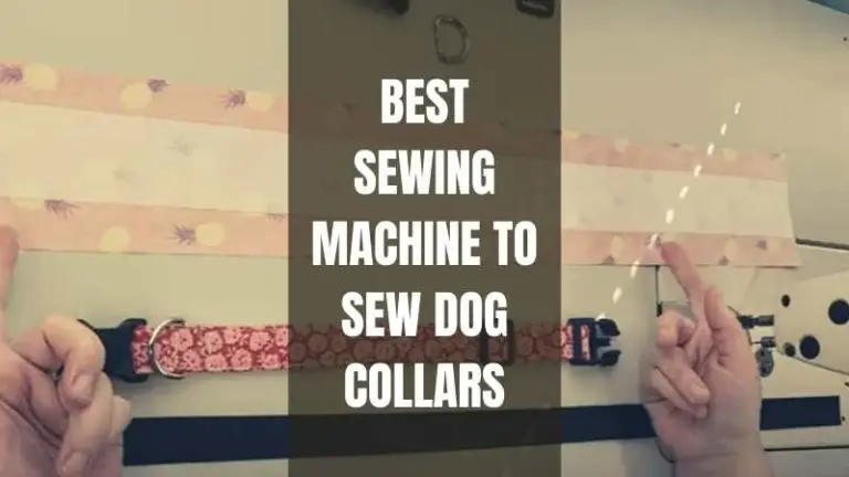 5 Best Sewing Machine to Sew Dog Collars