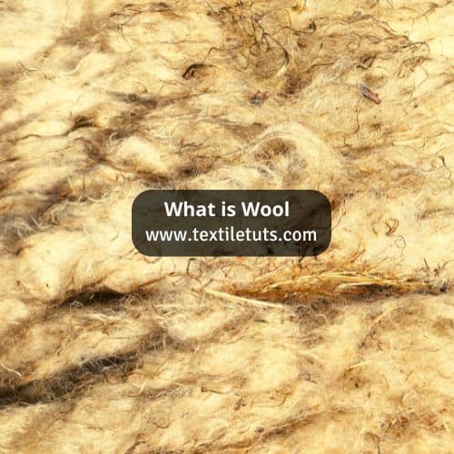 What is Wool