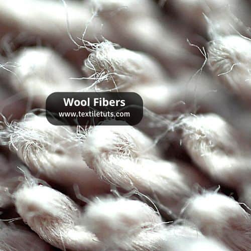 Wool Fibers