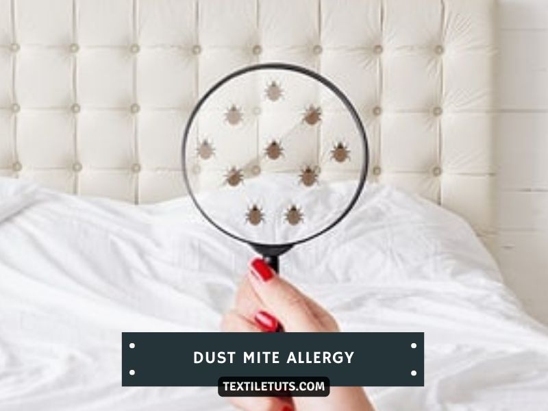 Bed Sheets Feeling Sticky Due to Dust Mite Allergy