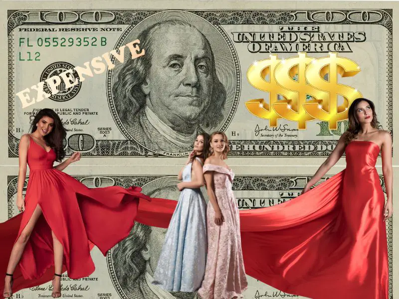 Factors That Make Prom Dresses Expensive To Buy