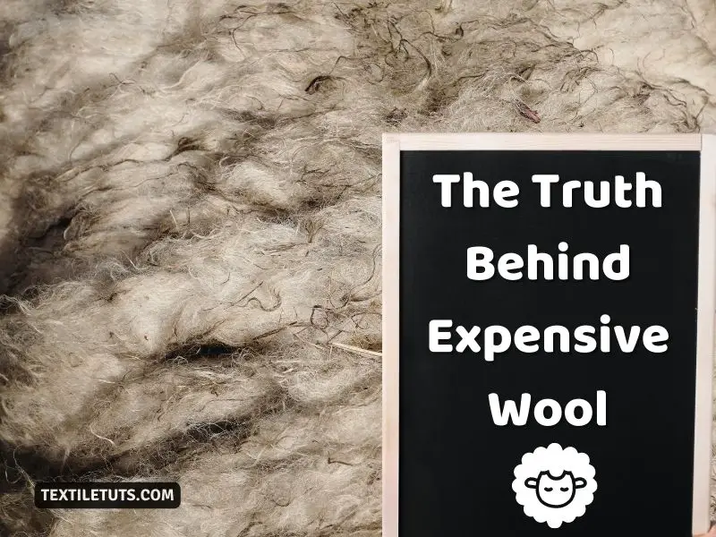 The Truth Behind Expensive Wool
