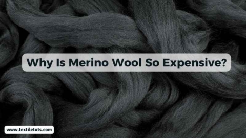 Why Is Merino Wool So Expensive? - TextileTuts