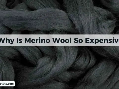 Why Is Merino Wool So Expensive