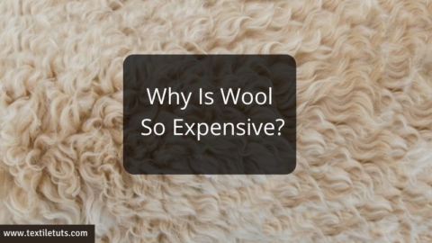 Why Is Wool So Expensive?