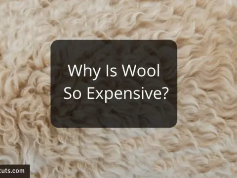 Why Is Wool So Expensive?