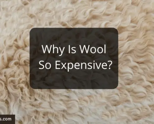 Why Is Wool So Expensive?