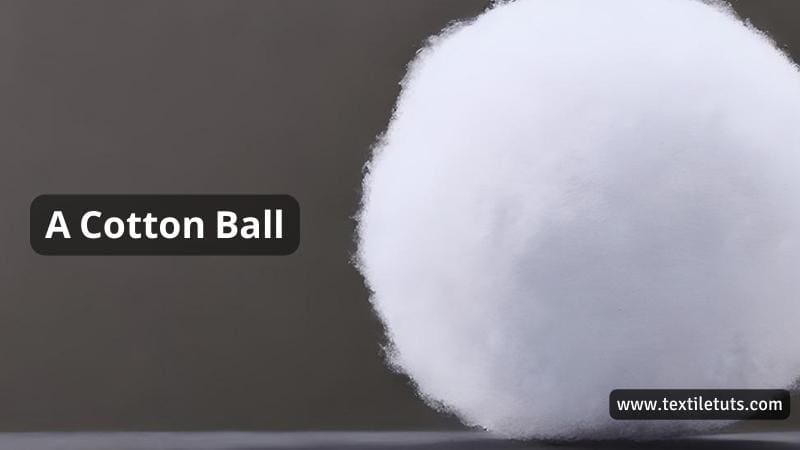 A Cotton Ball