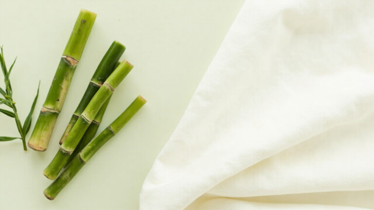 Bamboo plant stalks alongside soft bamboo fabric swatch showing the fiber source and finished textile