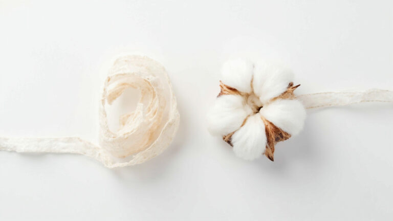 Microscopic cross-section comparison of untreated cotton fiber versus mercerized cotton showing swollen circular shape and straightened microfibers