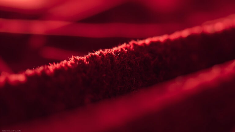 Close-up of cut pile velvet fabric showing vertical fibers standing upright from the base weave