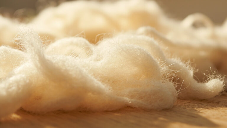Raw cream-colored cashmere fiber bundles showcasing the soft fluffy texture of Grade A luxury fiber