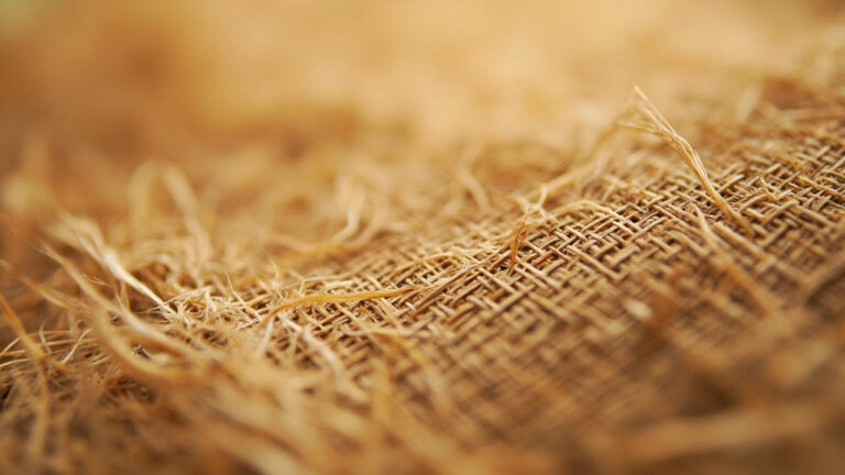 Raw hemp fabric texture showing natural woven bast fibers with visible slubs and organic irregularities