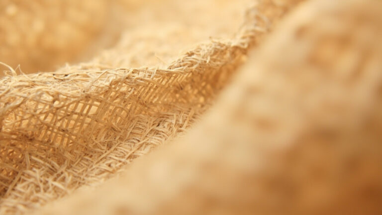 Macro close-up of natural linen fabric showing flax fiber weave texture with characteristic slub threads and open weave structure
