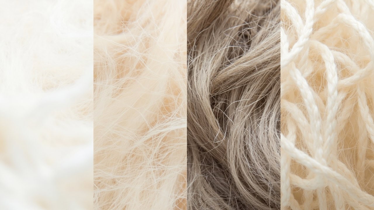 Magnified comparison of different wool fiber types showing merino cashmere mohair and Lincoln wool under microscope