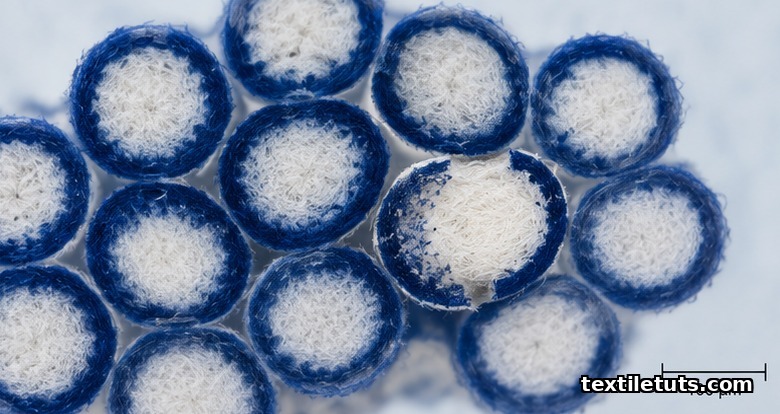 Macro cross-section of cotton fibers showing a thin blue indigo ring-dye layer around a white cellulose core, with one fiber partially abraded exposing the white beneath.